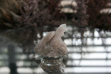 Load image into Gallery viewer, Natural Spirit Quartz Crystal Cluster