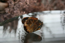 Load image into Gallery viewer, Natural BlueAmber