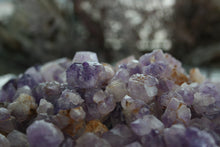 Load image into Gallery viewer, Natural Mini Amethyst Crystals (5 crystals)