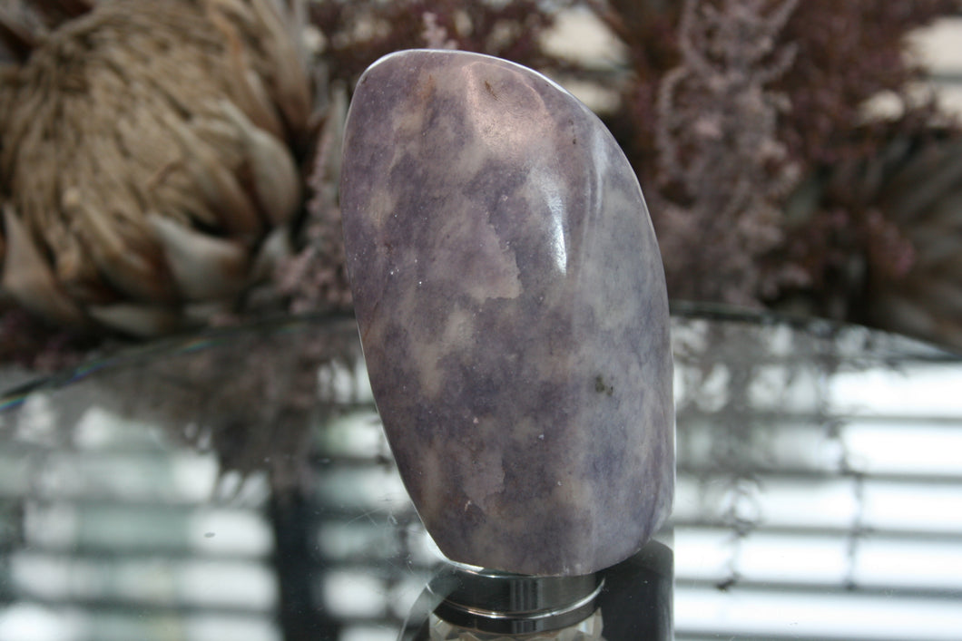 Polished Lepidolite Standing Freeforms