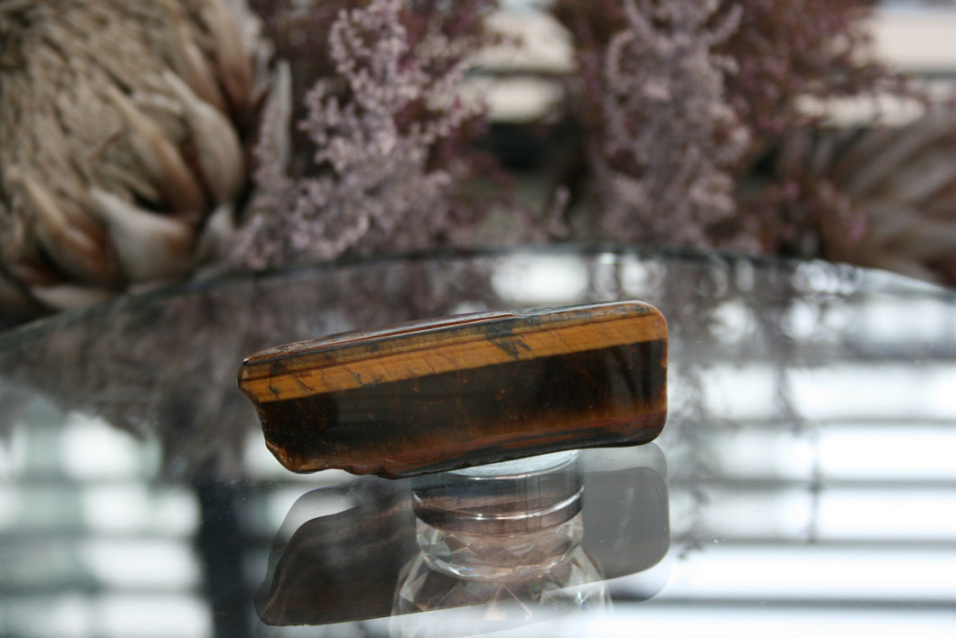 Polished Tigers-Eye Slices