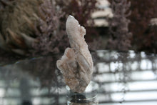 Load image into Gallery viewer, Natural Spirit Quartz Crystal Cluster
