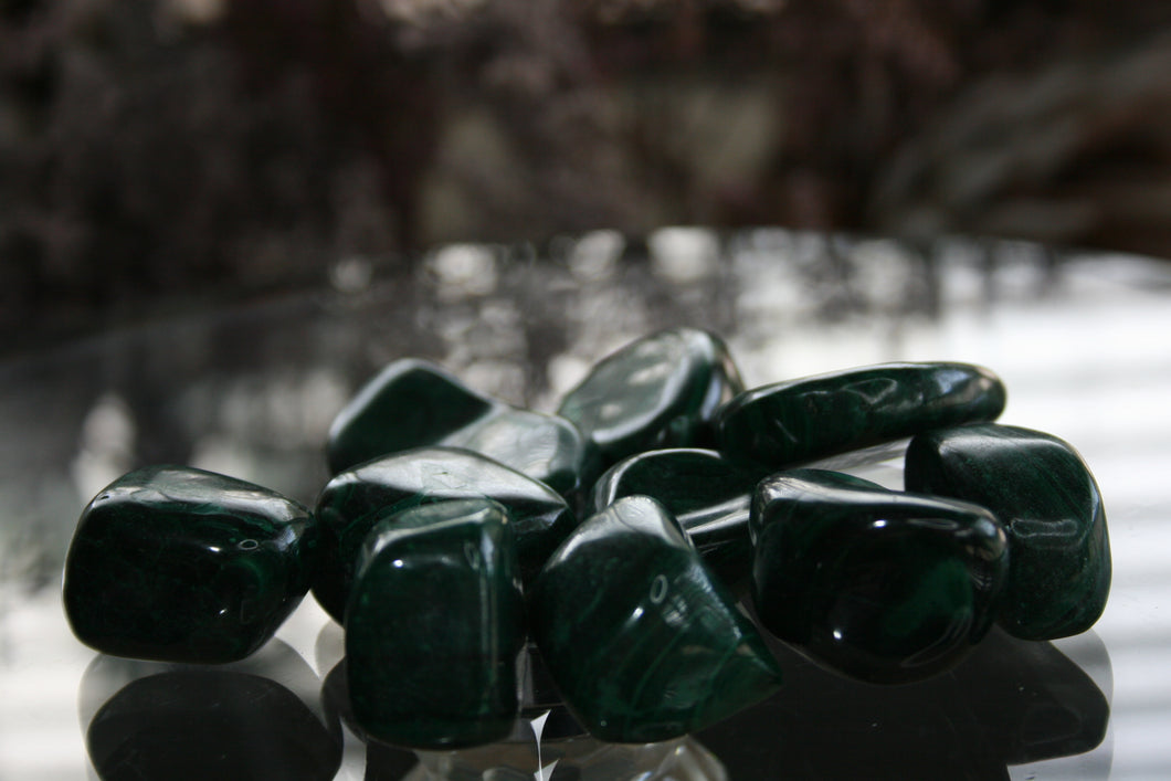 Polished Malachite - Exceptional Handmade Gallets / Freeforms